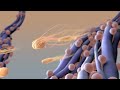 Understanding Drug Resistance