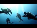 Ocean Reef Full Mask Training with Active Blue Diving Centre