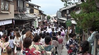 夏の京都を訪れるVisit Kyoto in summer (Japan)