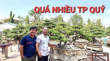 THĂM VƯỜN ANH MƯỜI Thường Tín mãn nhãn khi ngắm những Tp vườn anh .