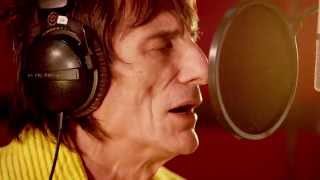 Ronnie Wood : How Can It Be?