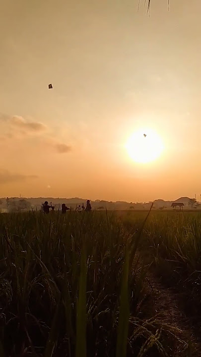 Mentahan Story WA Senja | Background Video Senja