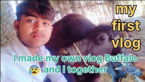 My First Vlog✅|| My First Vlog On Buffalo||