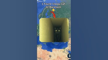 I Found Creepy Cat in Backroom 😺😶‍🌫️ in google maps and google earth #shots #hrbro76