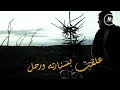 على مهلك يا قلبي حالات على مهلك يا قلبي حالات