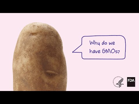 Video: Mengapa kita menggunakan GMO?