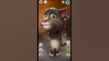 Talking Tom says Hello Tom