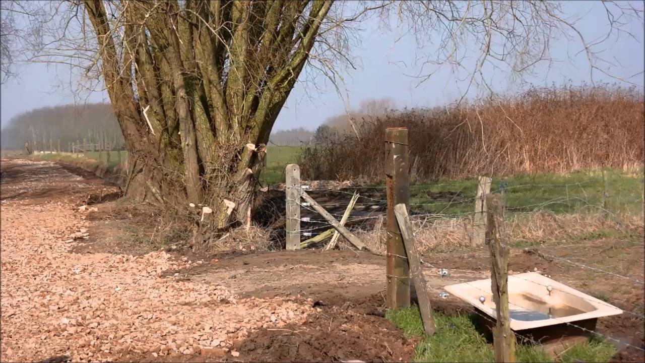 ABG De Faluintjes herstel buurtweg