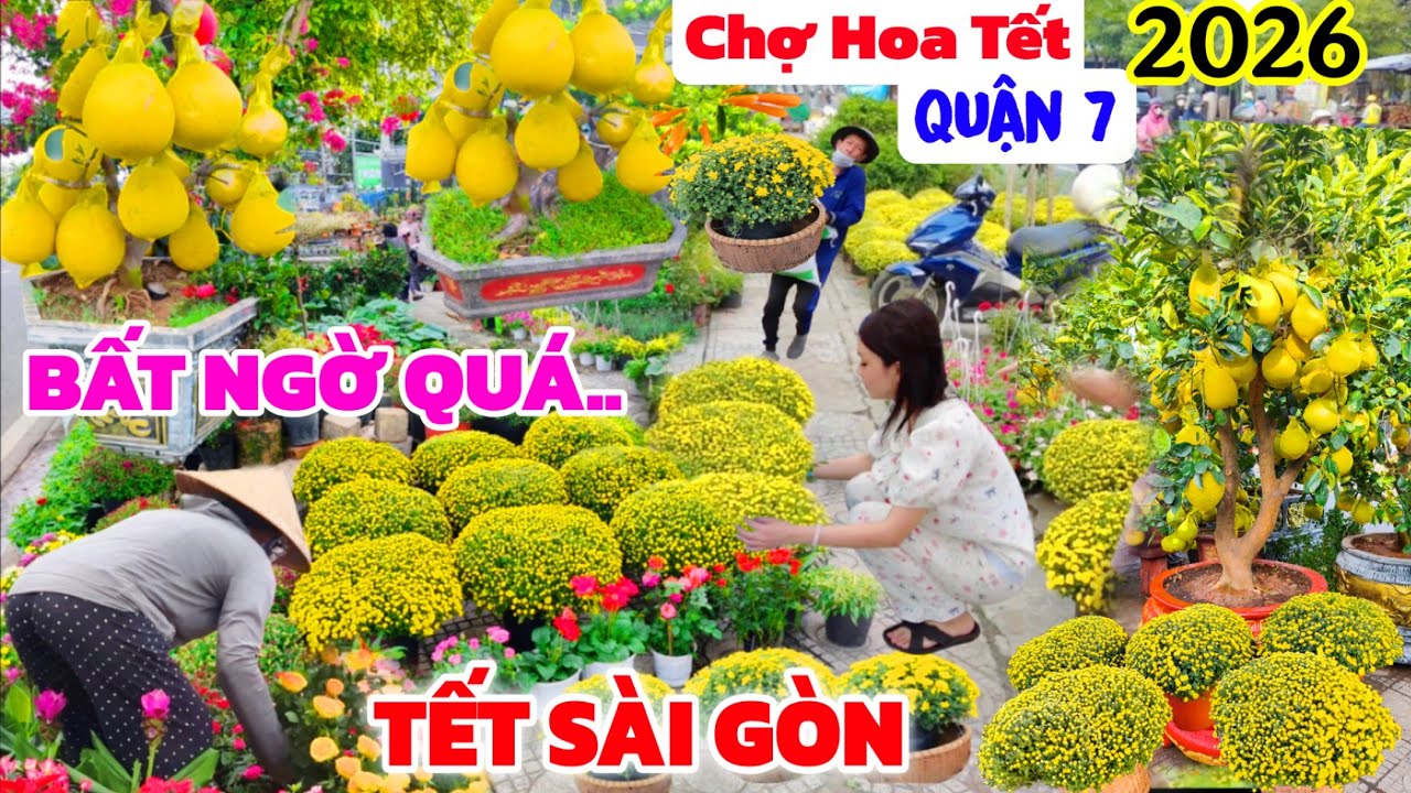 Bùng NỔ Quận 7 