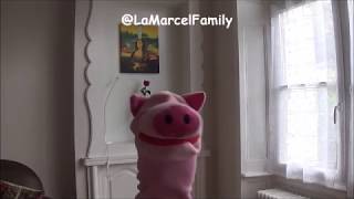Le Confinement (Parodie de la Java Bleue - Fréhel)