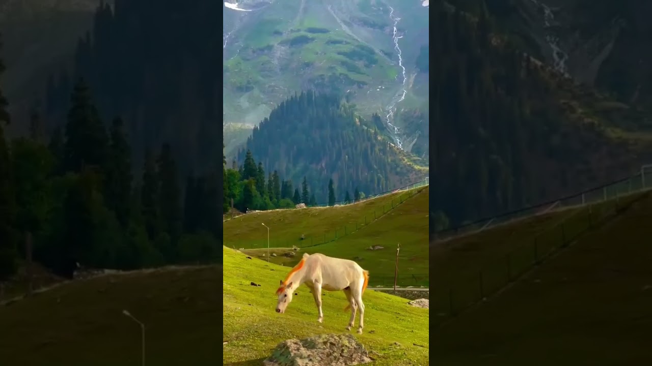 darood sharif # new naat # beautiful valley view # beautiful scenery # naat # Allah Huma saly allah