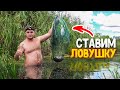 СТАВИМ ЛОВУШКУ НА РАКОВ! УСТАНОВИЛ ДОРОЖКУ НА РЫБУ! Ловлю рыбу руками! Виталий Зеленый