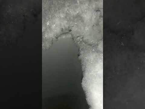 Freezer Frost Heaven