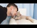 What Happens If You Kiss a Kitten Many Times