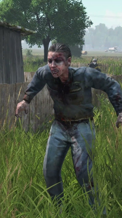 Los zombies son tus aliados en DayZ
