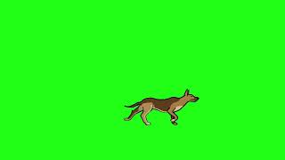 Green Screen Animasi 2D Anjing Berjalan 2022 Free To Use 1