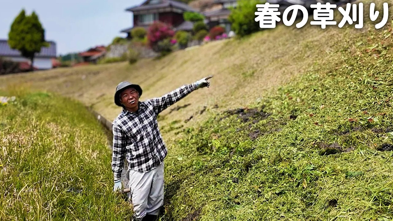 春の草刈り！夫婦で協力して家の周りを綺麗にしてきました【田舎暮らし】【山口県のvlog】
