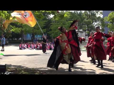 疾風乱舞★準大賞＠2016　大江戸ソーラン