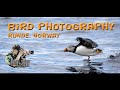 Photographing birds from a boat outside Runde in Norway