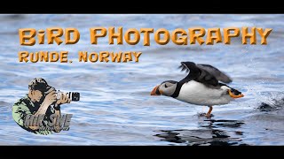 Photographing birds from a boat outside Runde in Norway