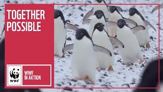 Together Possible | WWF Deutschland