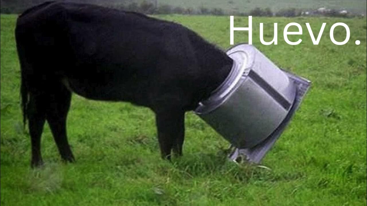 The first meme of 2024. YouTube The first meme of 2024. YouTube