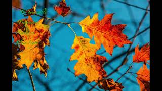 The Intangible -Profundity, Hidden in Plain Sight