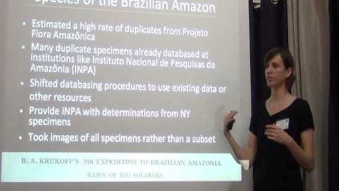 BITC / Data Capture - Workflows - large 2D specimens