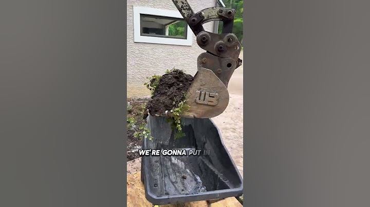 @CoyotePeterson Gets A Pond For His Snapping Turtle! #shorts
