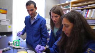 KAUST-UCI Epigenetics Program Profile