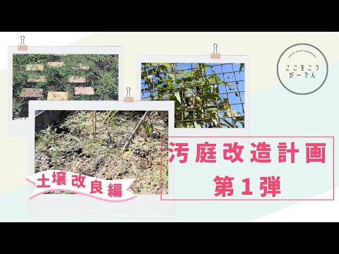 秋の土壌改良、なぜやるべき？ベストな方法と理由を解説
