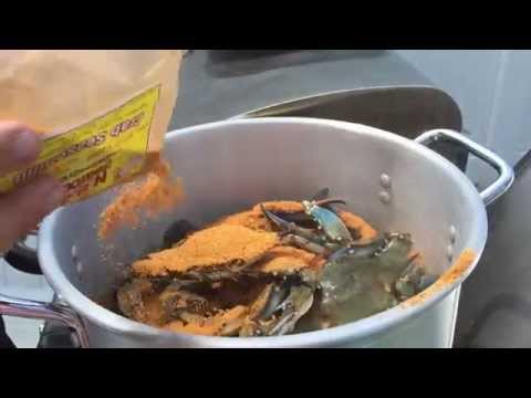 blue crabs steamed maryland style