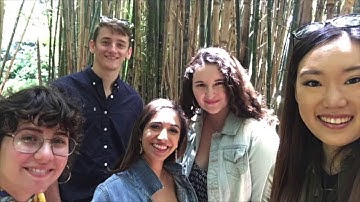 2018 IBM Summit Intern Video