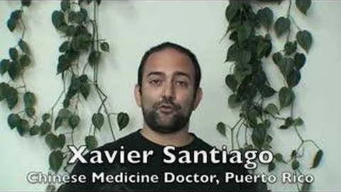 Xavier Santiago Comments on Chen Zhonghua's Teachi...