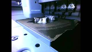 Chinese Dragon Time lapse 3D Print