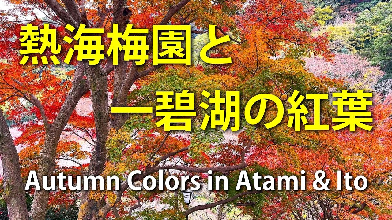 【静岡県・熱海・伊東】熱海梅園と一碧湖の紅葉｜Autumn Colors in Atami & Ito / 日本の美しい発見@yasu-discover