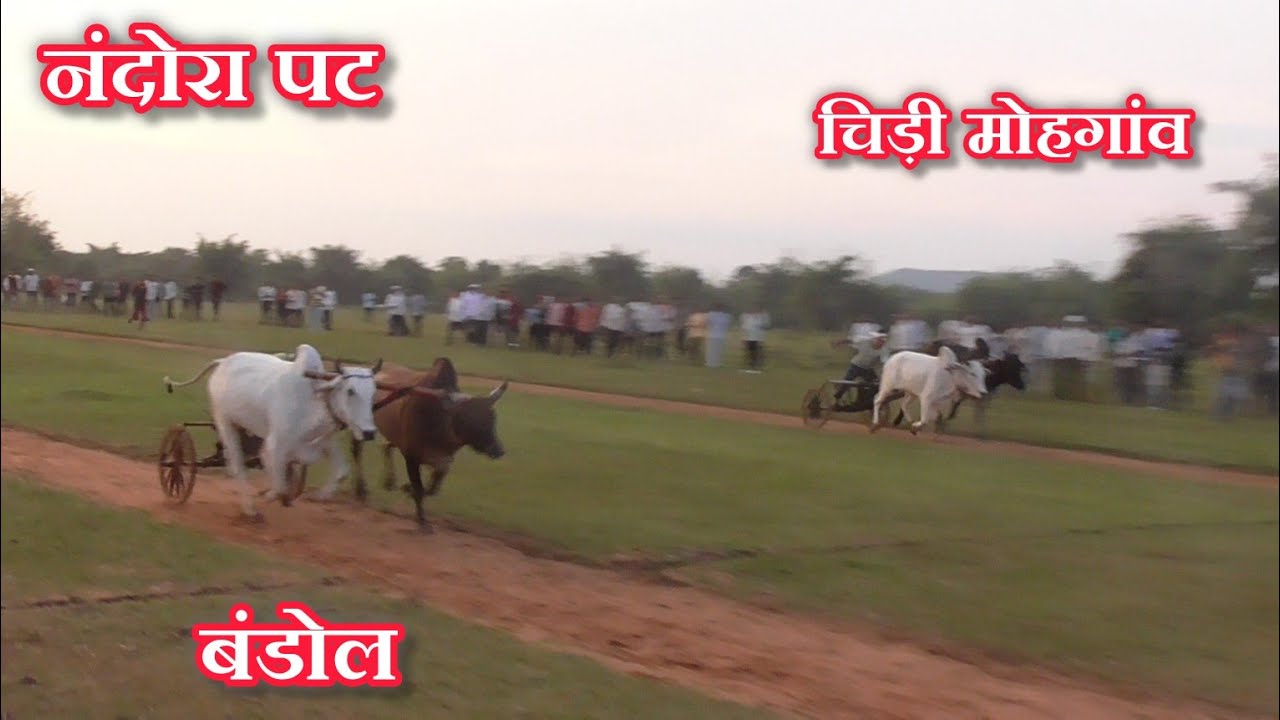 Нандаура Пэт Картик Дахерия Бандол Нанди Вала против Сану Бхаи Чиди Мохгаон Сареха Тола Вала Перв...