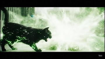 The Cat Who Lived (A Harry Potter Cat Story Chapter 1) #harrypotter #hogwarts  #cat