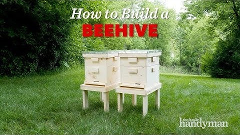 How to Build a Langstroth Beehive