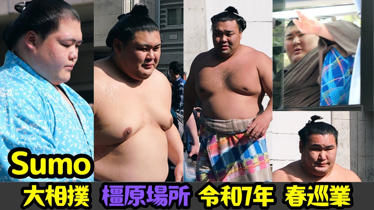 出待ち&お見送り❗大相撲 橿原場所(令和7年 春巡業)  奈良/ Sumo wrestlers leaving 大の里/豊昇龍/霧島/王鵬/宇良/大栄翔/玉鷲/熱海富士