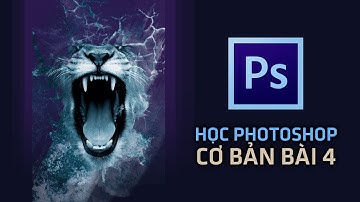 🎨 Học Photoshop Cơ Bản Bài 4 | Làm Chủ Giao Diện & Công Cụ Cho Người Mới Bắt Đầu