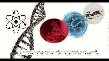 Quanto è 1 nanometro?