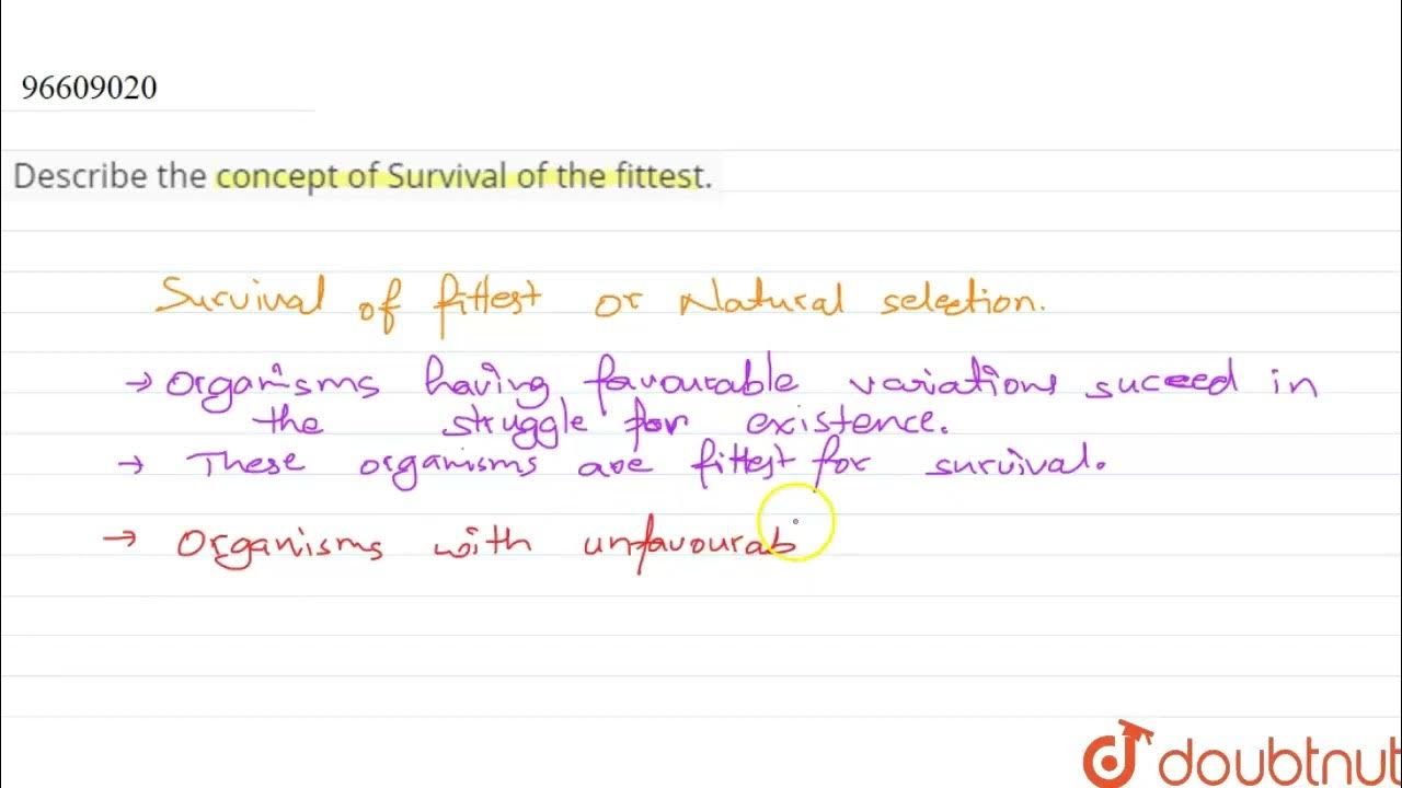 Describe the concept of Survival of the fittest. | CLASS 12 | SHORT