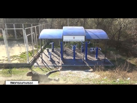 რუსული წარმოების ტერნაჟორერბი თუ სხვა პრიორიტეტული საკითხები - შეფასებები