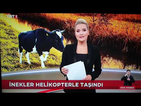 28 Ağustos 2021