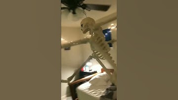Thumbnail of skeleton hanging on fan meme with funkytown low quality 1980