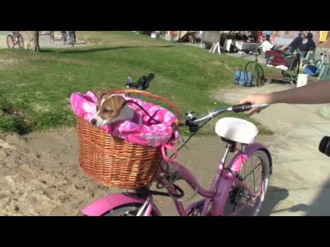 Evie's bike basket from Cynthia's Twigs