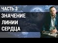 Линия сердца. Что она означает и что по ней можно увидеть? | Хиромантия обучение