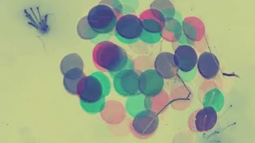 Machinefabriek - Slaapmiddel