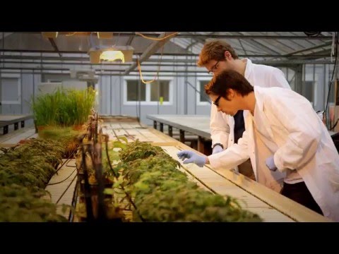 Plant Disease Diagnosis App